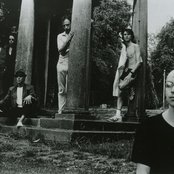 Legendary Pink Dots - List pictures