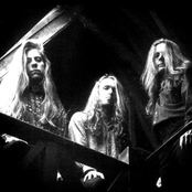 Paramaecium - List pictures