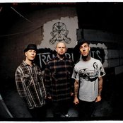 Transplants - List pictures