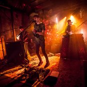 Glass Animals - List pictures