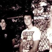 Cryptic Slaughter - List pictures