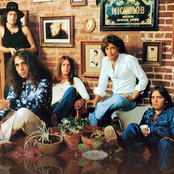 Rainbow - List pictures