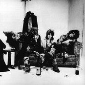 Dogs Damour - List pictures