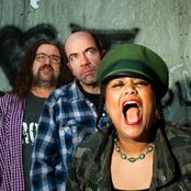 Tangled Eye - List pictures