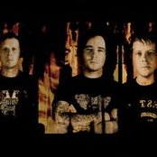 Mendeed - List pictures