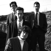 The Revelers - List pictures