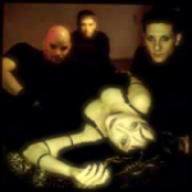 Tapping The Vein - List pictures