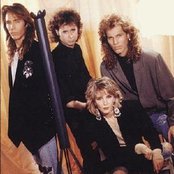 Animotion - List pictures