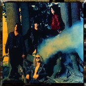 Love Like Blood - List pictures