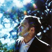 David Gray - List pictures