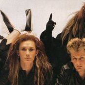 Dead Or Alive - List pictures