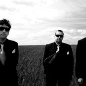 Dritte Wahl - List pictures