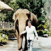 Dean Martin - List pictures