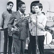 B.b. King - List pictures