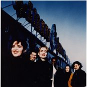 Rainbirds - List pictures