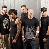 Evans Blue - List pictures