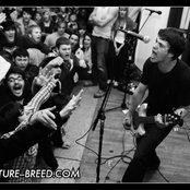 Title Fight - List pictures