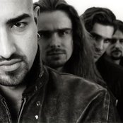 Megaherz - List pictures