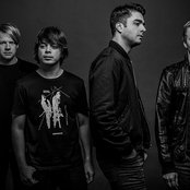 Goose - List pictures