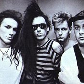 Dead Or Alive - List pictures