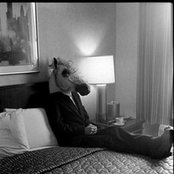 Sparklehorse - List pictures