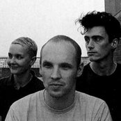 Anni Hogan - List pictures