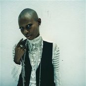 Skin - List pictures