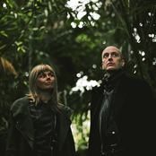 Vaselines - List pictures