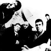 Inspiral Carpets - List pictures