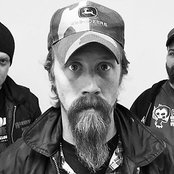 Raubtier - List pictures