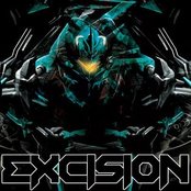 Excision - List pictures