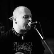 Lipa - List pictures