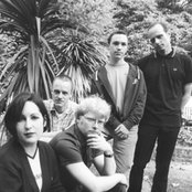 Trembling Blue Stars - List pictures