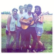 Bamboo - List pictures