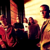 Submersed - List pictures