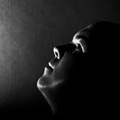 Alan Fitzpatrick - List pictures