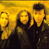 King's X - List pictures