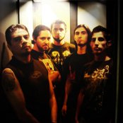 Mandragore - List pictures