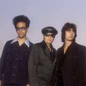 Wondermints - List pictures