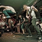 While She Sleeps - List pictures