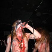 Nattefrost - List pictures