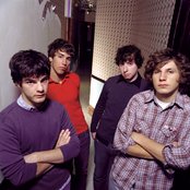 The Early November - List pictures