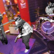 The Shimmies - List pictures