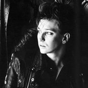 Recoil - List pictures