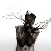 Blut Aus Nord - List pictures