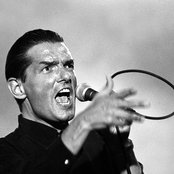 Falko - List pictures