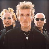 Stereo Mc's - List pictures