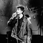 Ian Mcculloch - List pictures