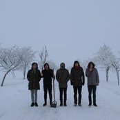 Throats - List pictures