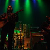 Miniature Tigers - List pictures